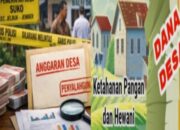 Skandal Dana Desa di Jember: Dugaan Penyimpangan Rp258 Juta Program Ketahanan Pangan, Siapa Bertanggung Jawab?