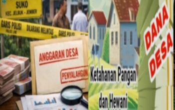 Ilustrasi dugaan penyalahgunaan Dana Desa Sukojember Jember 2025 terkait program ketahanan pangan Rp258 juta dan jabatan kepala dusun