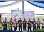 Program Ketahanan Pangan Nasional di Musi Rawas: Lapas Narkotika Muara Beliti Hadiri Panen Raya Melon Inhalton, Apa Dampaknya?