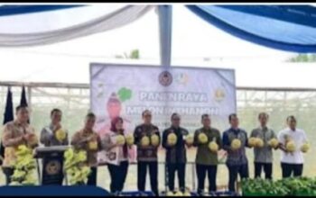 Program Ketahanan Pangan Nasional di Musi Rawas: Lapas Narkotika Muara Beliti Hadiri Panen Raya Melon Inhalton, Apa Dampaknya? Petugas Lapas Narkotika Muara Beliti menghadiri panen raya melon inhalton di Musi Rawas Sumatera Selatan