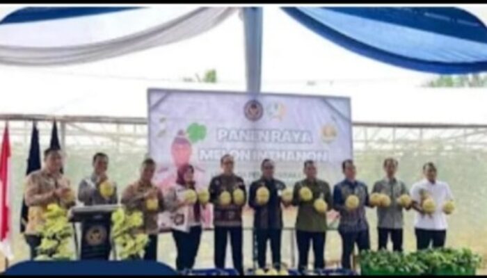 Program Ketahanan Pangan Nasional di Musi Rawas: Lapas Narkotika Muara Beliti Hadiri Panen Raya Melon Inhalton, Apa Dampaknya?
