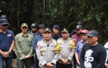 kapolda riau tinjau lokasi gajah sumatera tewas di pelalawan akibat perburuan ilegal