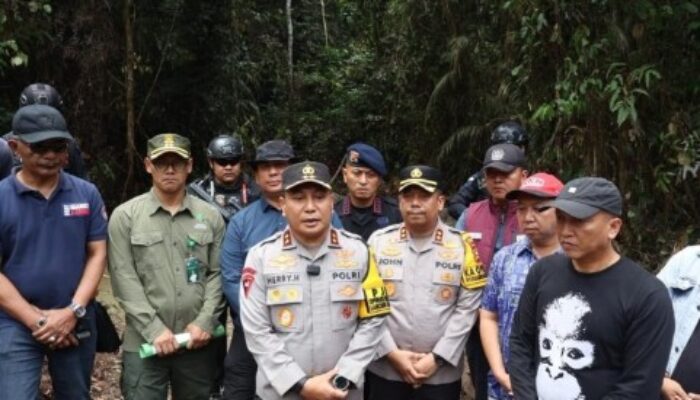 Gajah Sumatera Tewas Mengenaskan di Pelalawan, Riau: Negara Hadir atau Mafia yang Berkuasa?