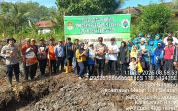 Kapolsek Matan Hilir Selatan AKP Jumadi Hutabarat bersama Pemerintah Desa Sungai Nanjung menanam jagung hibrida di lahan desa untuk mendukung ketahanan pangan di Ketapang.