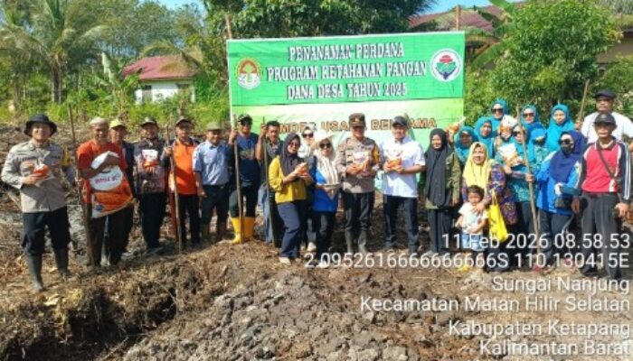 Polsek Matan Hilir Selatan Tanam Jagung di Ketapang: Mampukah Program Ini Perkuat Ketahanan Pangan Lokal?