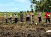 Penanaman Jagung Hibrida di Ketapang: Sinergi Polri dan Petani Perkuat Ketahanan Pangan Nasional