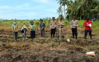 Penanaman Jagung Hibrida di Ketapang: Sinergi Polri dan Petani Perkuat Ketahanan Pangan Nasional
