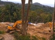 Tambang Ilegal di Minahasa Tenggara Kembali Beroperasi Usai Tragedi Berdarah: Di Mana Ketegasan Hukumnya?