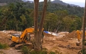 tambang ilegal Ratatotok Minahasa Tenggara Sulawesi Utara