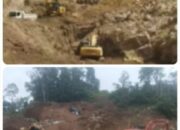 Tambang Ilegal dan Dugaan Pembiaran di Ratatotok Minahasa Tenggara: Hutan Terkikis, Di Mana ketegasannya ?
