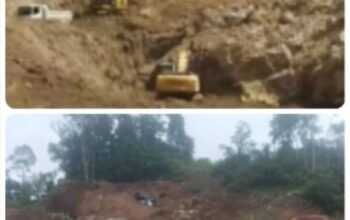 Tambang Ilegal dan Dugaan Pembiaran di Ratatotok Minahasa Tenggara: Hutan Terkikis, Di Mana ketegasannya ? Tambang ilegal Ratatotok hutan lindung Minahasa Tenggara Sulawesi Utara