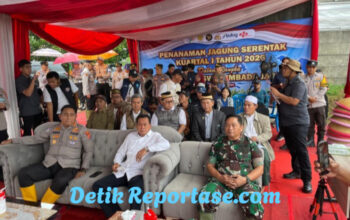 Kodim 0510/Tigaraksa Dukung Ketahanan Pangan, Tanam Jagung Serentak di Panongan