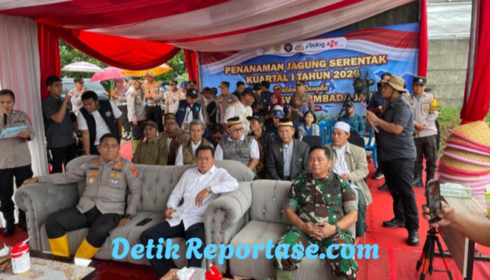 Kodim 0510/Tigaraksa Dukung Ketahanan Pangan, Tanam Jagung Serentak di Panongan