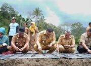 Di STM Hulu akan ada 502 hektar lahan akan di fokuskan menanam Bawang