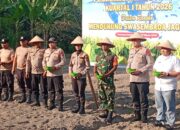 Kapolres Deli Serdang dukung ketahanan pangan dan pimpin penanaman jagung serentak di Pagar Merbau