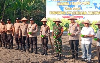Kapolres Deli Serdang dukung ketahanan pangan dan pimpin penanaman jagung serentak di Pagar Merbau