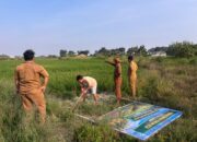 Plang Ketahanan Pangan Picu Amarah Petani ! kepala Desa Paya Gambar di duga rampas lahan warga