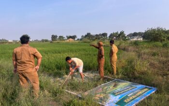 IMG-20260309-WA0002(1)