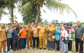 Pemkab Deli Serdang Intervensi Harga Cabai dan Bawang