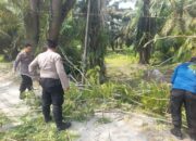 GAK PAKAI LAMA! Pohon Tumbang Tutup Jalan di Benteng Jaya, Personel Pos Pam 2 Sei Bejangkar Langsung “Sikat” Habis