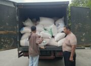 Polres Batu Bara “Gempur” Bulog Asahan, Kirim 6.595 Ton Jagung Hasil Panen Petani!