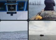 Tugboat Penarik Tongkang Semen Diduga Tabrak Jermal Nelayan Rugikan Rp 150 Juta rupiah di Muara Pulau Kumbang