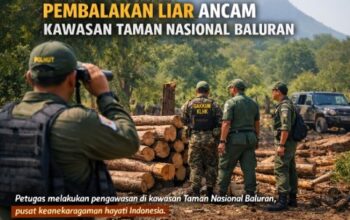 pembalakan liar di taman nasional baluran jawa timur ancam ekosistem hutan konservasi indonesia.