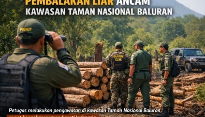 Skandal Pembalakan Liar di Taman Nasional Baluran: Ancaman Ekosistem Nasional, Bagaimana Penegakan Hukumnya?