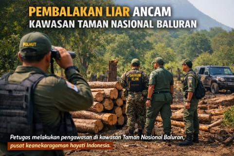 pembalakan liar di taman nasional baluran jawa timur ancam ekosistem hutan konservasi indonesia.