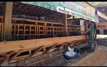 Komsos TNI di Ponorogo: Babinsa Dampingi Peternak Kambing, Mampukah Dorong Usaha Warga Lebih Produktif? babinsa kodim ponorogo komsos dengan peternak kambing desa bedoho