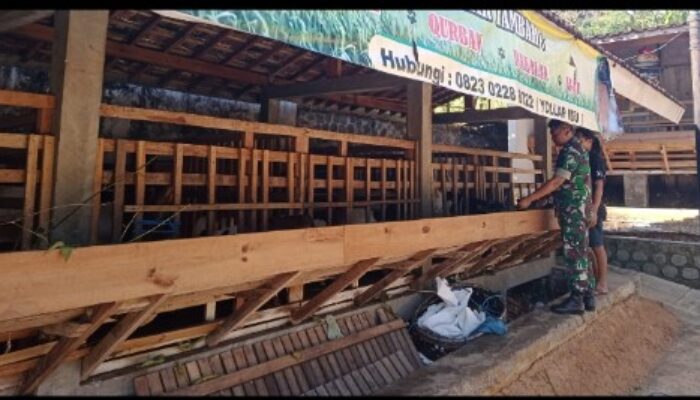 Komsos TNI di Ponorogo: Babinsa Dampingi Peternak Kambing, Mampukah Dorong Usaha Warga Lebih Produktif?