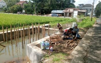 Desa Sirau Bangun Jalan Rp5,5 Miliar dan Infrastruktur Tani di Banyumas: Seberapa Besar Dampaknya bagi Ekonomi Warga?