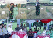 Dukung Asta Cita, Dandim 0208/Asahan Bersama Forkopimda Panen Raya Padi Gogo: Wujudkan Kemandirian Pangan Daerah!