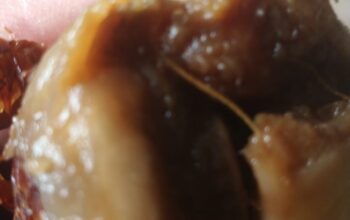 Warga Temukan Salak Busuk dalam Program MBG di Tanjonga, Minta Evaluasi Dapur Penyedia