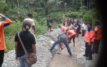 Nasional | Bencana Sikka Lumpuhkan Akses Warga: BPBD dan Masyarakat Gotong Royong Bersihkan Jalan, Kapan Pemulihan Tuntas?