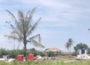 Diduga Kapolsek Pagar Merbau,mem backup usaha pasar malam diatas lahan eks HGU,dalam proses pengajuan oleh keluarga Alm H.ahmad Noor