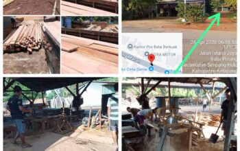 Dugaan Penimbunan dan Pengolahan Kayu Ilegal di Balai Berkuak Viral di Medsos, Warga Soroti Sosok “Akau” yang Disebut Kebal Hukum