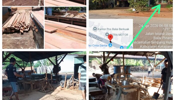 Dugaan Penimbunan dan Pengolahan Kayu Ilegal di Balai Berkuak Viral di Medsos, Warga Soroti Sosok “Akau” yang Disebut Kebal Hukum