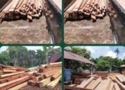 Diduga Tumpukan Kayu Ilegal di Balai Berkuak, Diduga Milik Warga Lokal