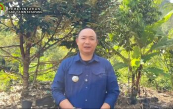 Di balik setiap kemajuan Ketapang, ada keringat dan dedikasi para buruh