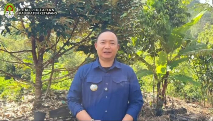 Di balik setiap kemajuan Ketapang, ada keringat dan dedikasi para buruh