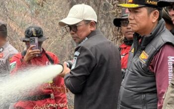 Nasional | Pelalawan – Bupati Turun Langsung Padamkan Karhutla di Gambut Mutiara, Terkendali atau Ancaman Masih Mengintai?