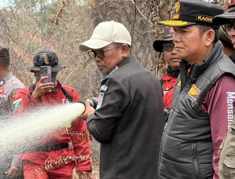 pemadaman karhutla lahan gambut pelalawan