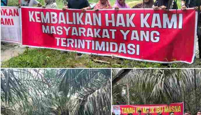 Nasional | Warga Gondai Kepung Lahan PT PSJ, Tuntut Tanah Warisan Dikembalikan: Konflik Agraria Kian Memanas