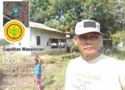 NASIONAL | Gapoktan Wanalestari Kembangkan Budidaya Ikan dan Pertanian Terpadu di Majalengka, Mampukah Menjadi Model Ketahanan Pangan Desa?