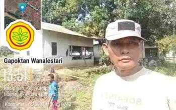 Gapoktan Wanalestari Majalengka membangun kolam budidaya ikan dan mengembangkan pertanian terpadu untuk mendukung ketahanan pangan desa.