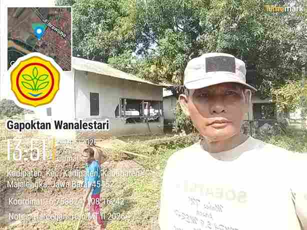 Gapoktan Wanalestari Majalengka membangun kolam budidaya ikan dan mengembangkan pertanian terpadu untuk mendukung ketahanan pangan desa.