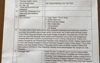 IMG-20260514-WA0093