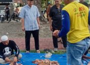 Patau Langsung Camat Batang Kuis Pemotongan Hewan Kurban, Kebersamaan Warga Tanjung Sari