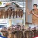 Apel Perdana Pasca Lebaran, Dispora Ketapang Tekankan Disiplin dan Layanan Publik Humanis